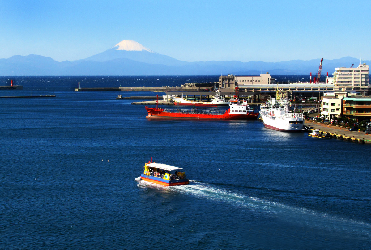 早朝の三浦で海の幸・大地の恵みを感じる1泊2日旅